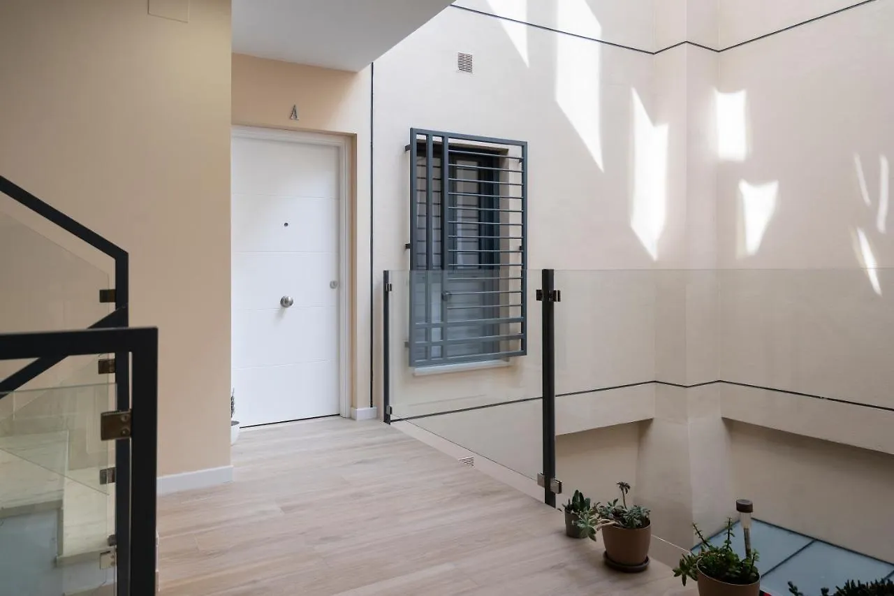 Estudio Las Navas Cadiz 0*,  Spain